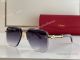 Cartier Premiere Fading lens Men Sunglasses T8200766 (3)_th.jpg